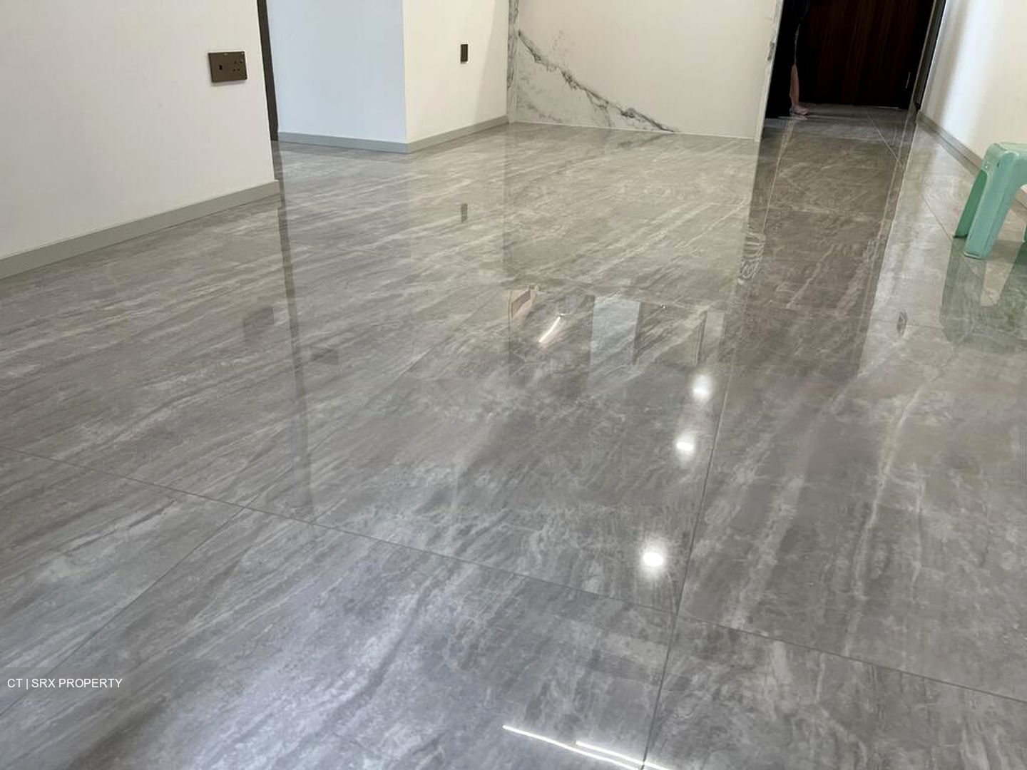 Leedon Green (D10), Condominium #635048671